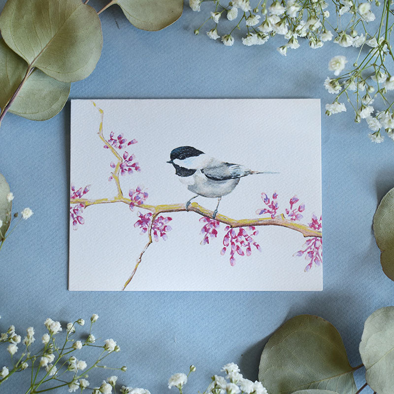 Chickadee Greeting Cards