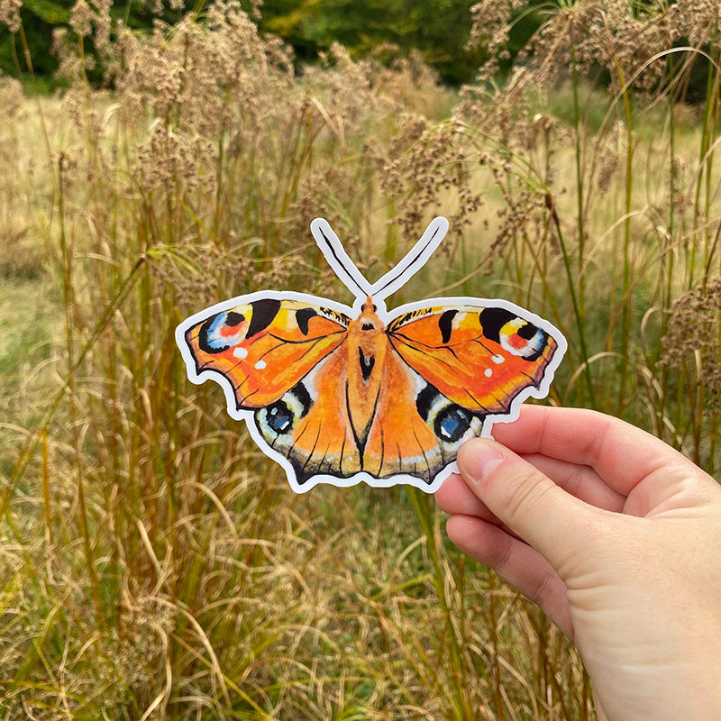 Peacock Butterfly Sticker