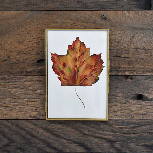 Maple Leaf (Red) 4x6 Watercolor Print