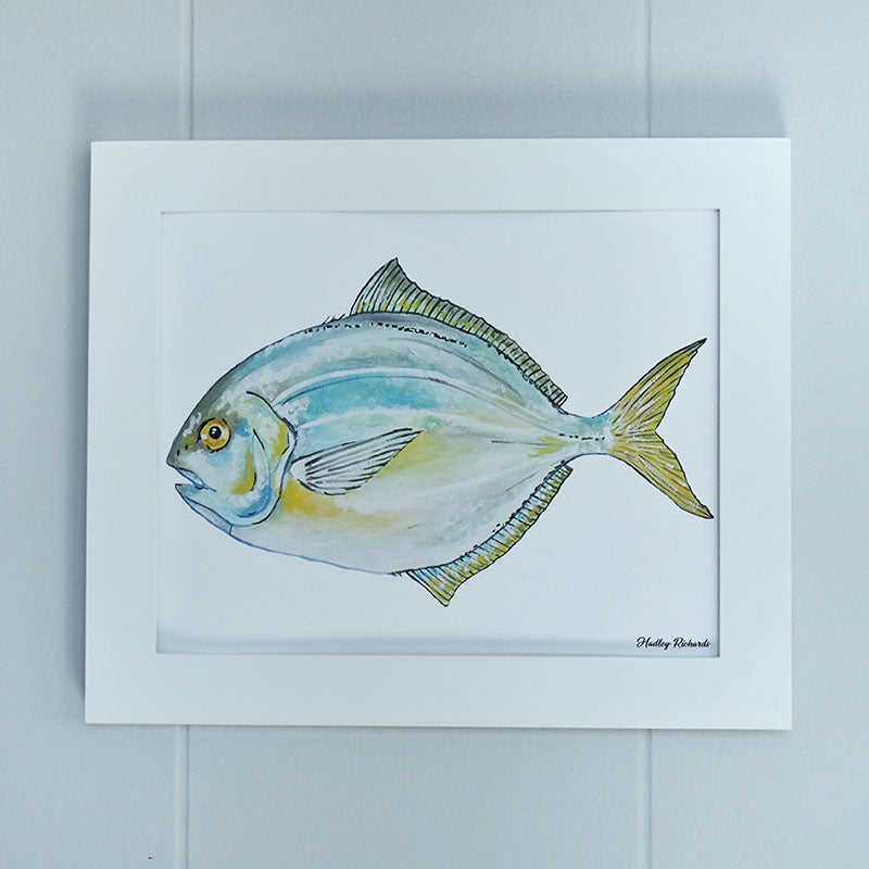 Butterfish 8x10 Watercolor Print