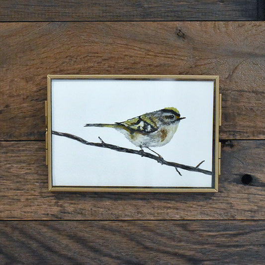 Golden-crowned Kinglet  4x6 Watercolor Print