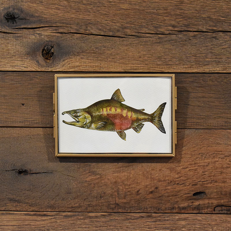 Chum Salmon 4x6 Watercolor Print