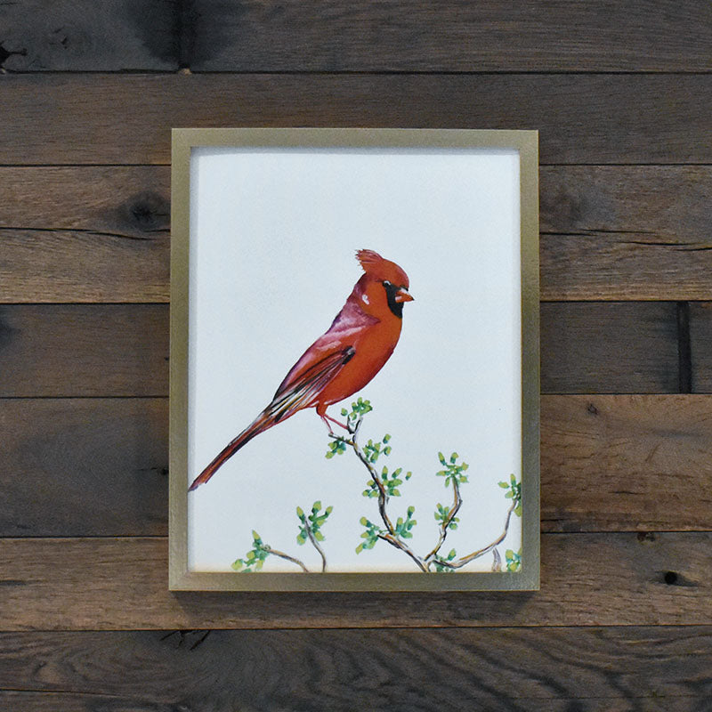 Cardinal 11x14 Watercolor Print