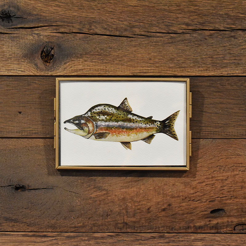 Pink Salmon 4x6 Watercolor Print