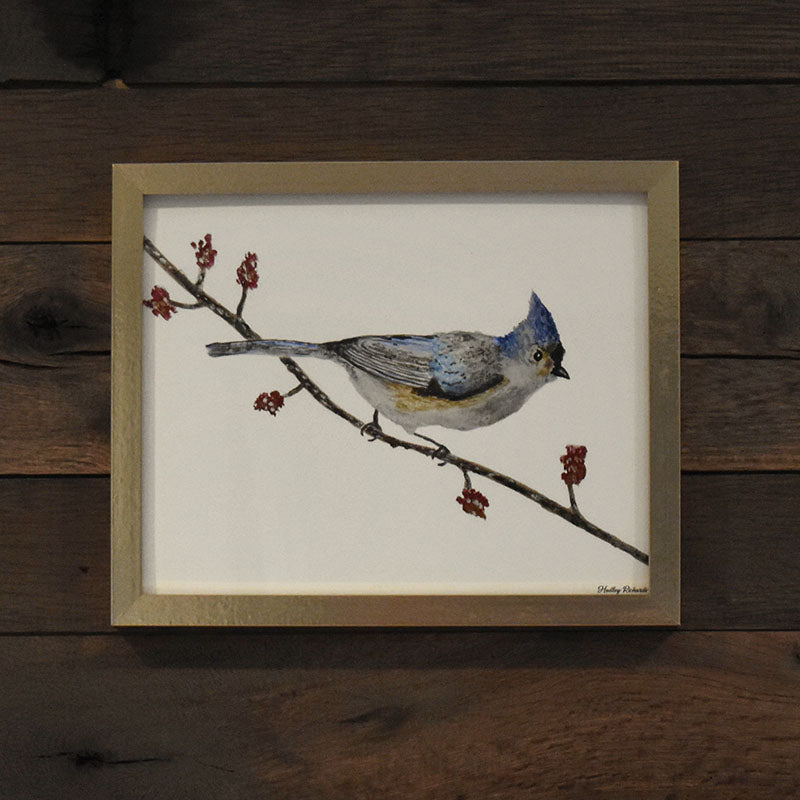 Tufted Titmouse 8x10 Watercolor Print