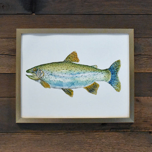 Rainbow Trout 11x14 Watercolor Print