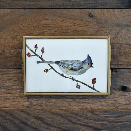 Tufted Titmouse 4x6 Watercolor Print