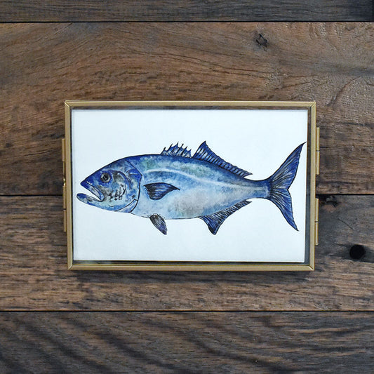 Bluefish 4x6 Watercolor Print