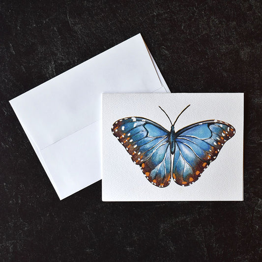 Blue Morpho Butterfly Greeting Cards