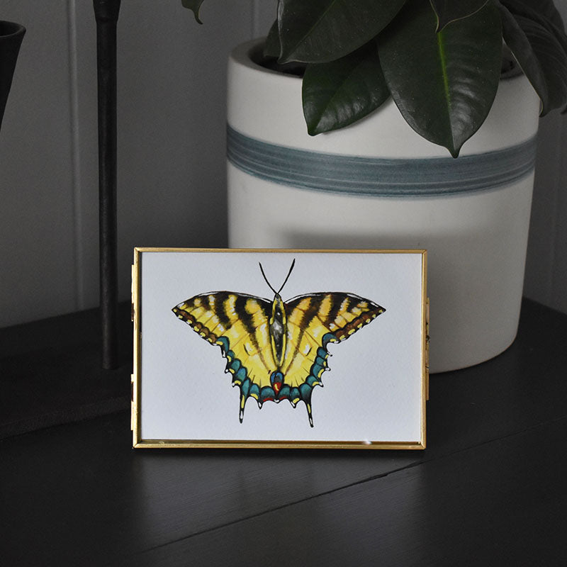 Eastern Tiger Swallowtail Butterfly 4x6 Watercolor Print