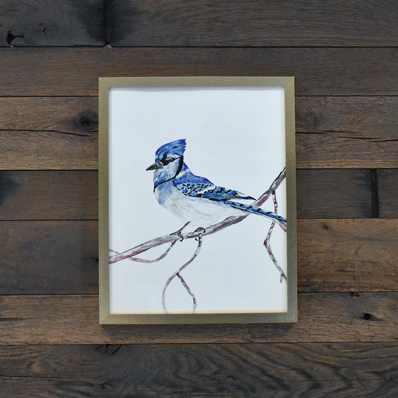 Blue Jay 11x14 Watercolor Print