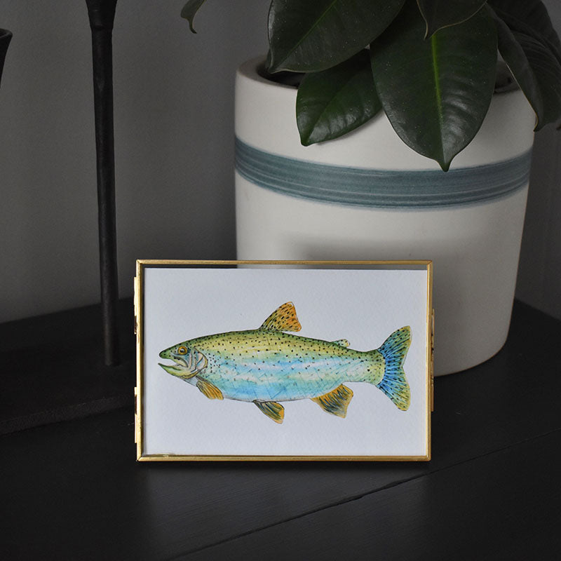 Rainbow Trout 4x6 Watercolor Print