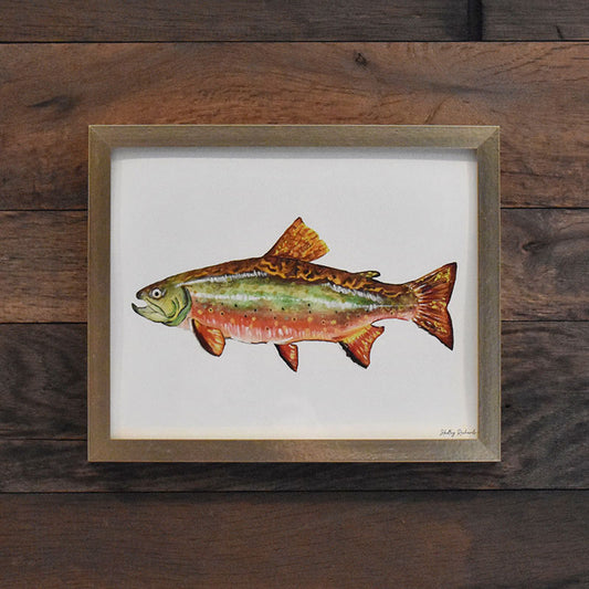 Brook Trout 8x10 Watercolor Print