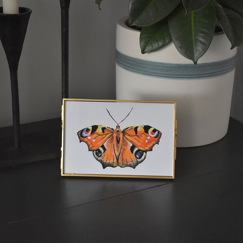 Peacock Butterfly 4x6 Watercolor Print