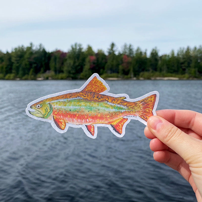 Brook Trout Sticker