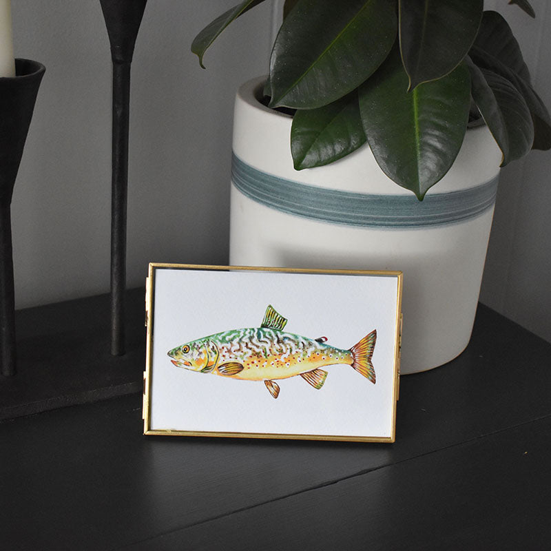 Marble Trout 4x6 Watercolor Print