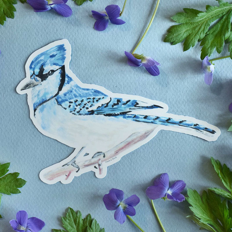 Blue Jay Sticker