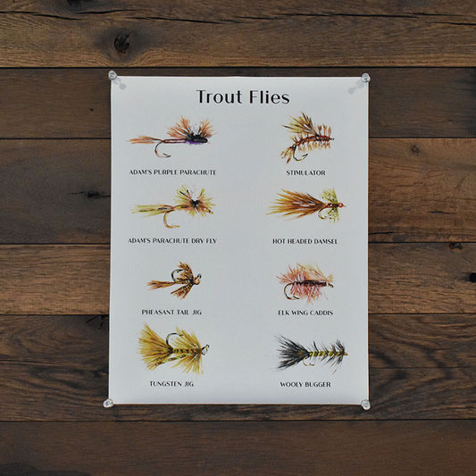 Trout Flies Poster