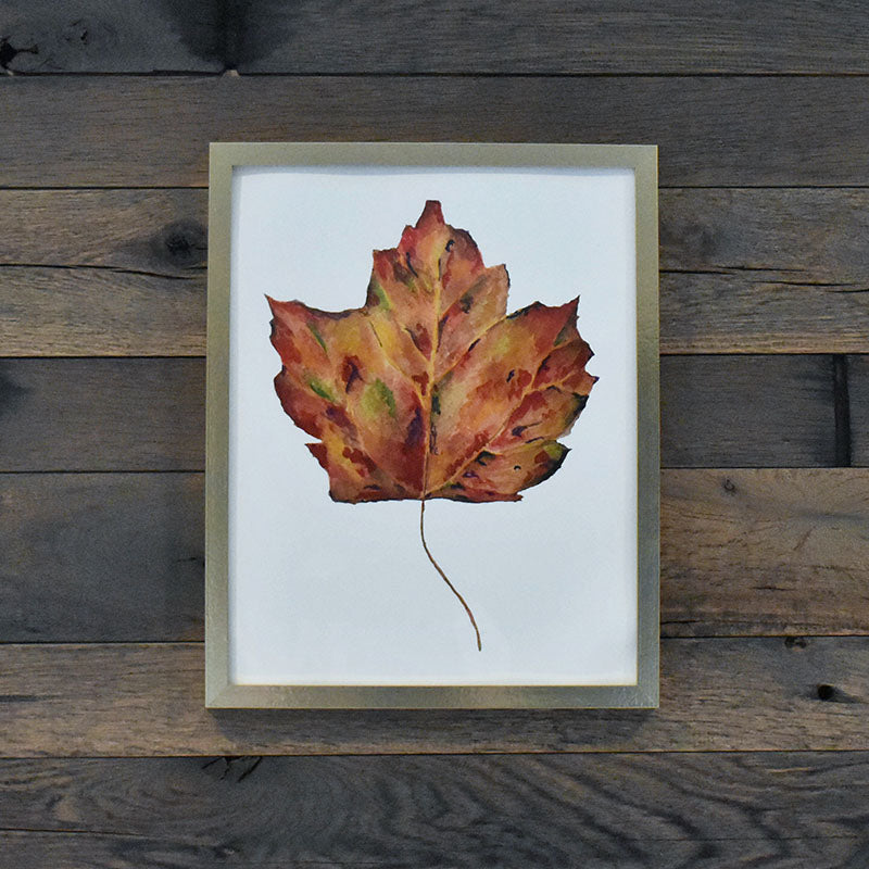 Maple Leaf 11x14 Watercolor Print