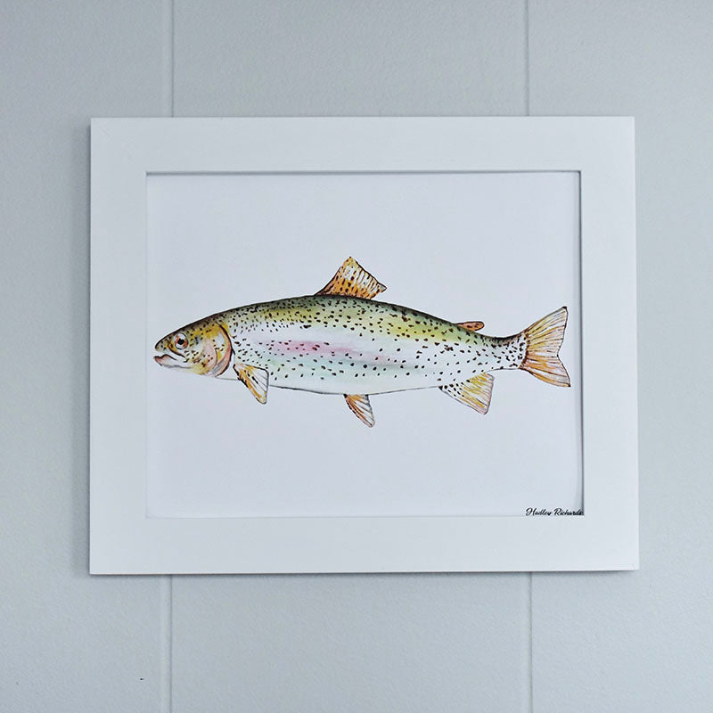 Ohrid Trout 8x10 Watercolor Print