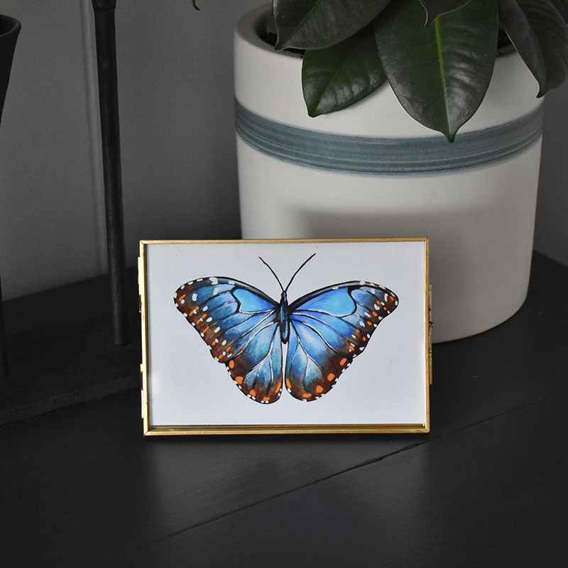 Blue Morpho Butterfly 4x6 Watercolor Print