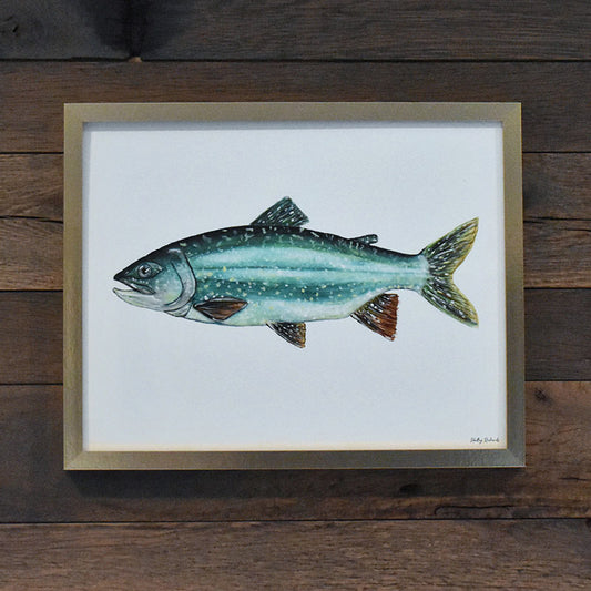 Lake Trout 11x14 Watercolor Print