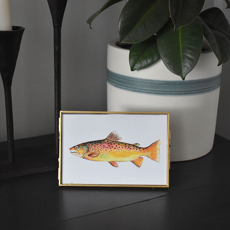 Brown Trout 4x6 Watercolor Print