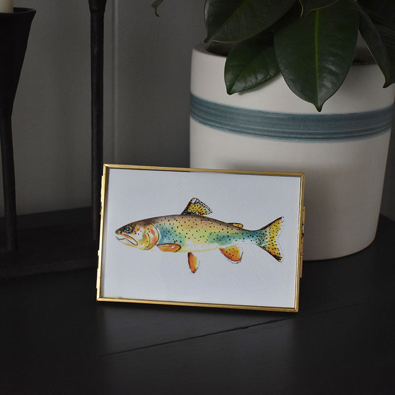 Apache Trout 4x6 Watercolor Print