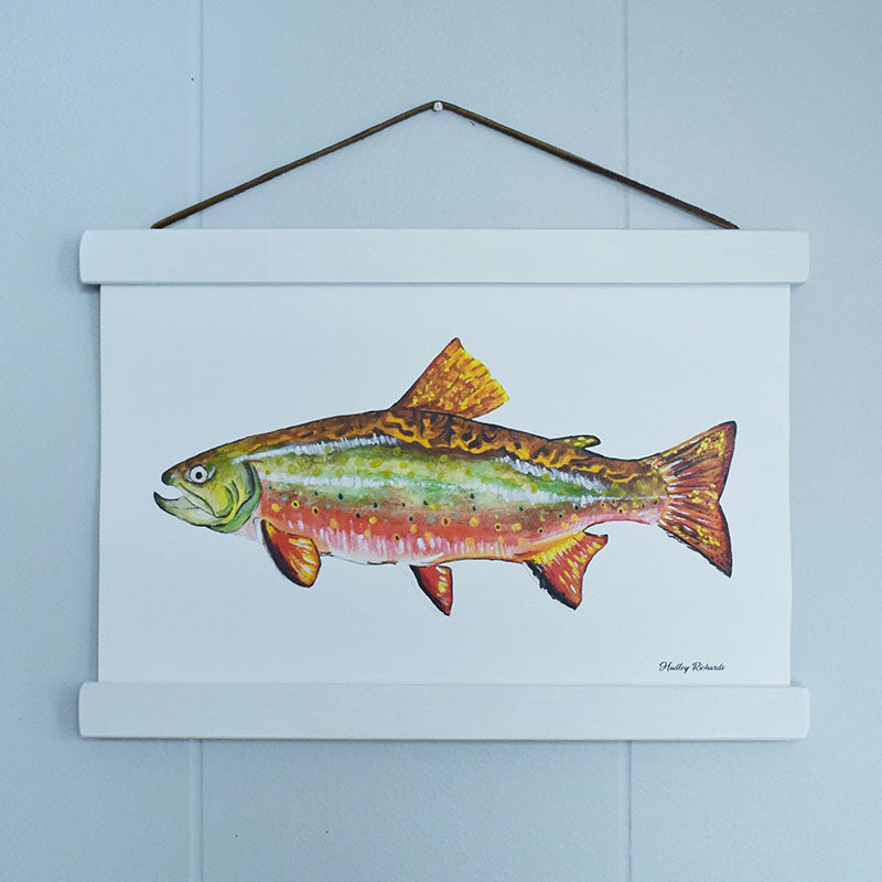 Brook Trout Canvas Print