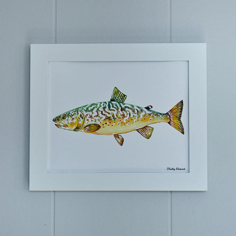 Marble Trout 8x10 Watercolor Print