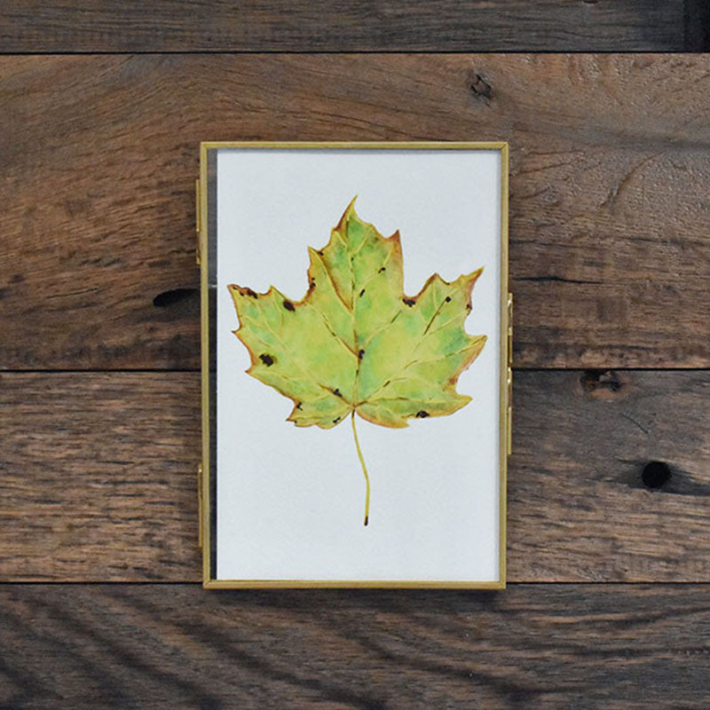 Maple Leaf (Green) 4x6 Watercolor Print