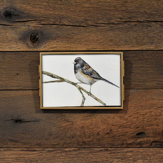 Junco 4x6 Watercolor Print (Copy)