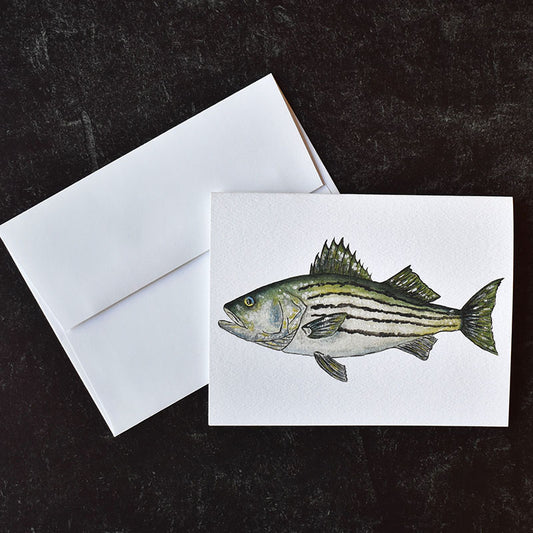 Striped Bass Greeting Cards