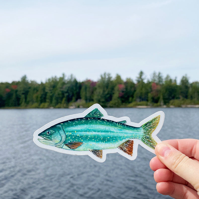 Lake Trout Sticker