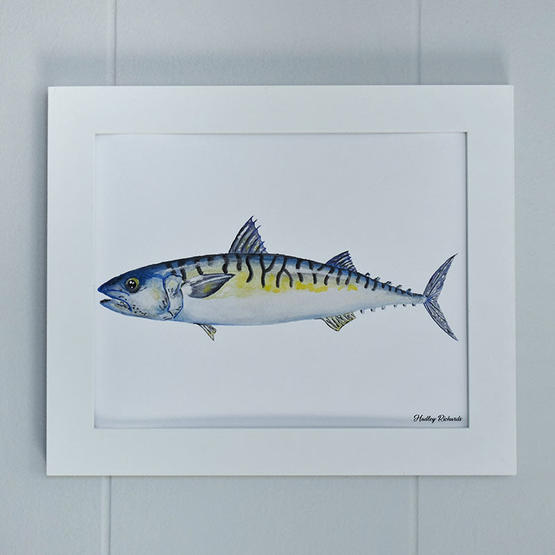 Atlantic Mackerel 8x10 Watercolor Print