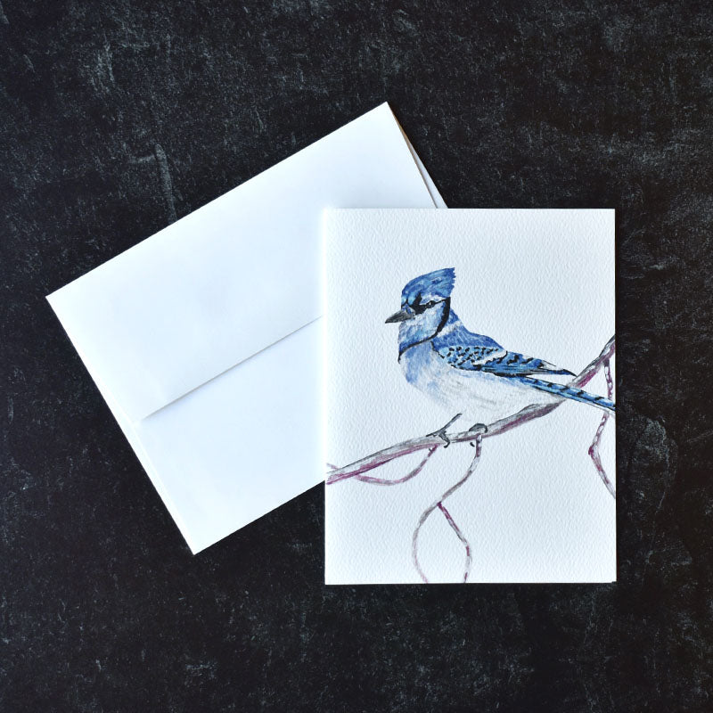 Blue Jay Greeting Cards