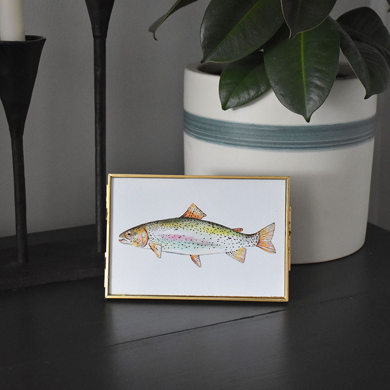 Ohrid Trout 4x6 Watercolor Print