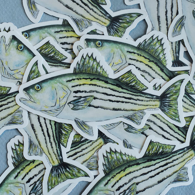 Striped Bass Sticker