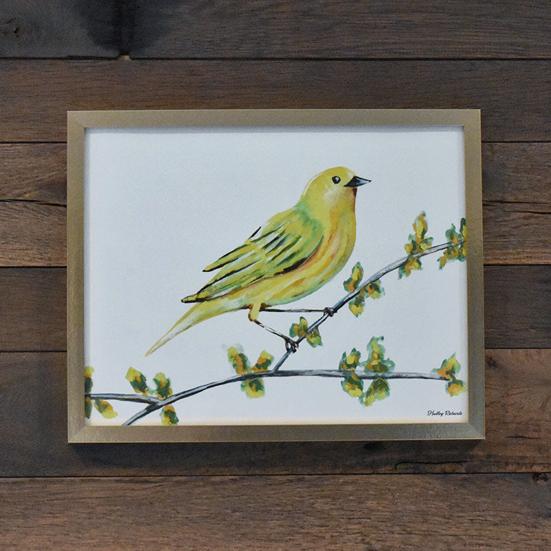 Yellow Warbler 11x14 Watercolor Print