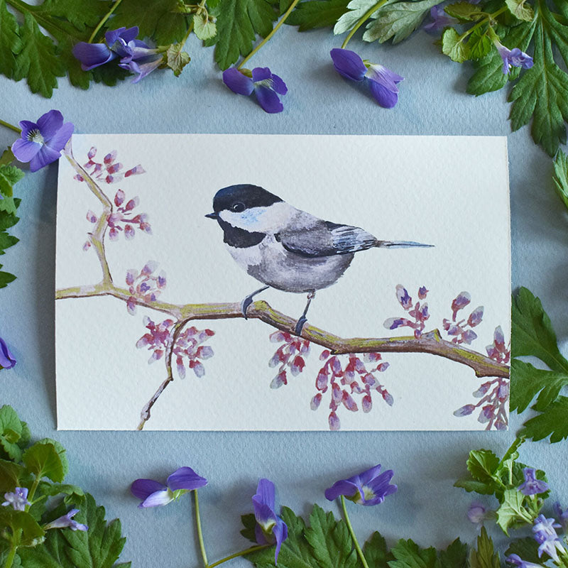 Chickadee 4x6 Watercolor Print