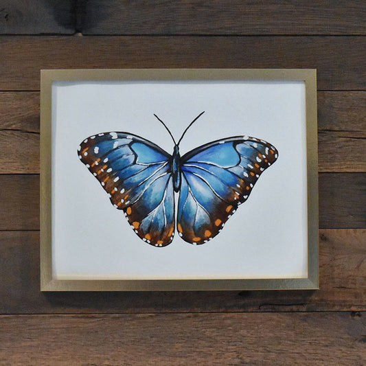 Blue Morpho Butterfly 11x14 Watercolor Print