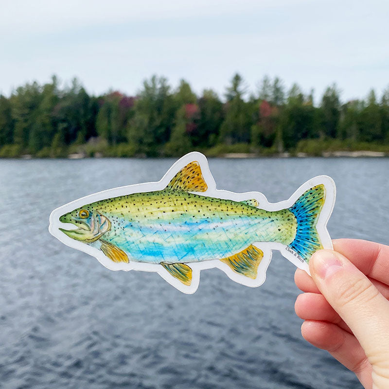 Rainbow Trout Sticker