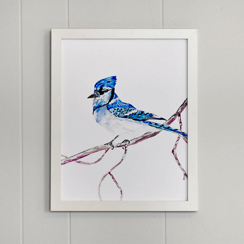 Blue Jay 11x14 Watercolor Print