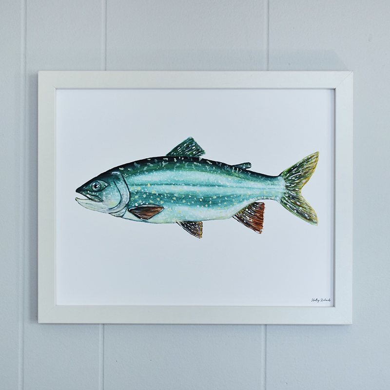 Lake Trout 11x14 Watercolor Print