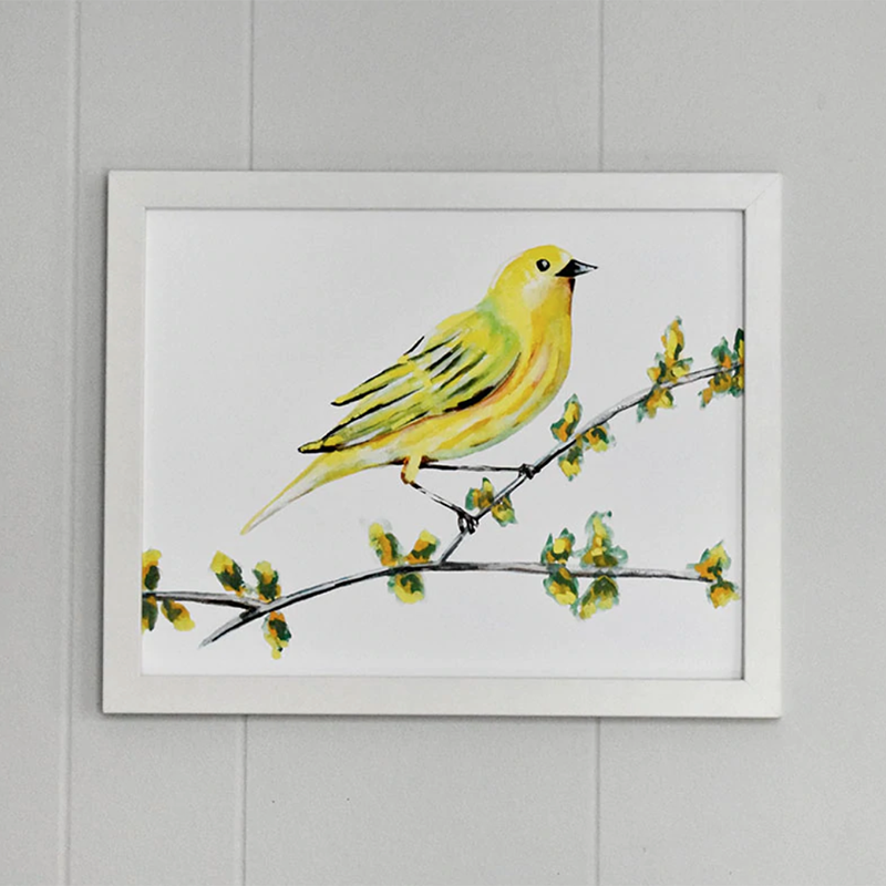 Yellow Warbler 11x14 Watercolor Print