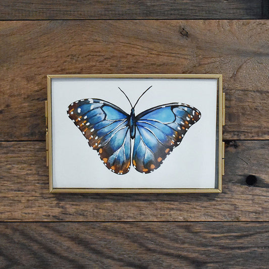 Blue Morpho Butterfly 4x6 Watercolor Print