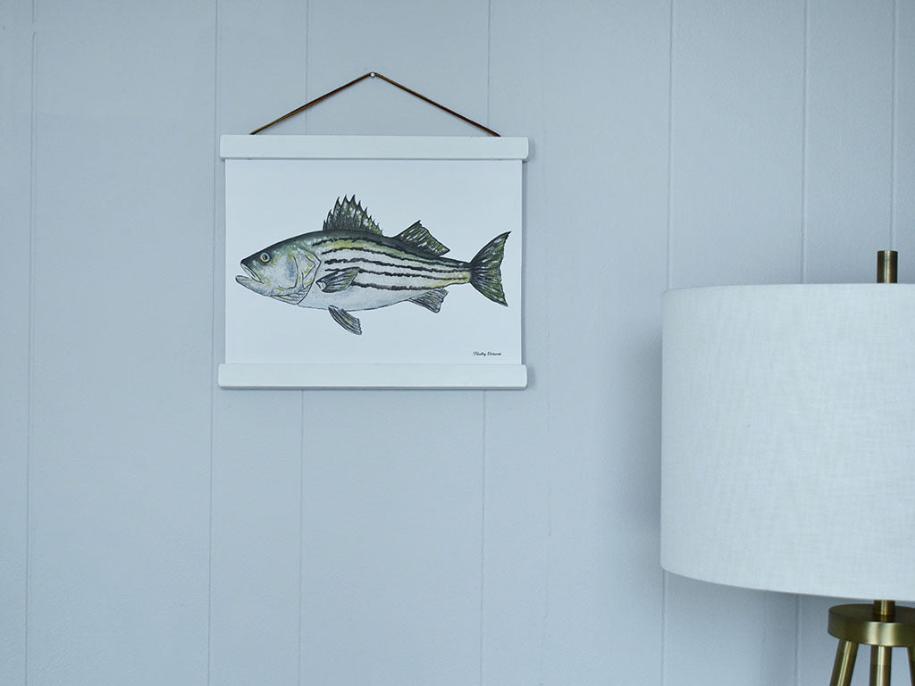 Striped Bass Canvas Print