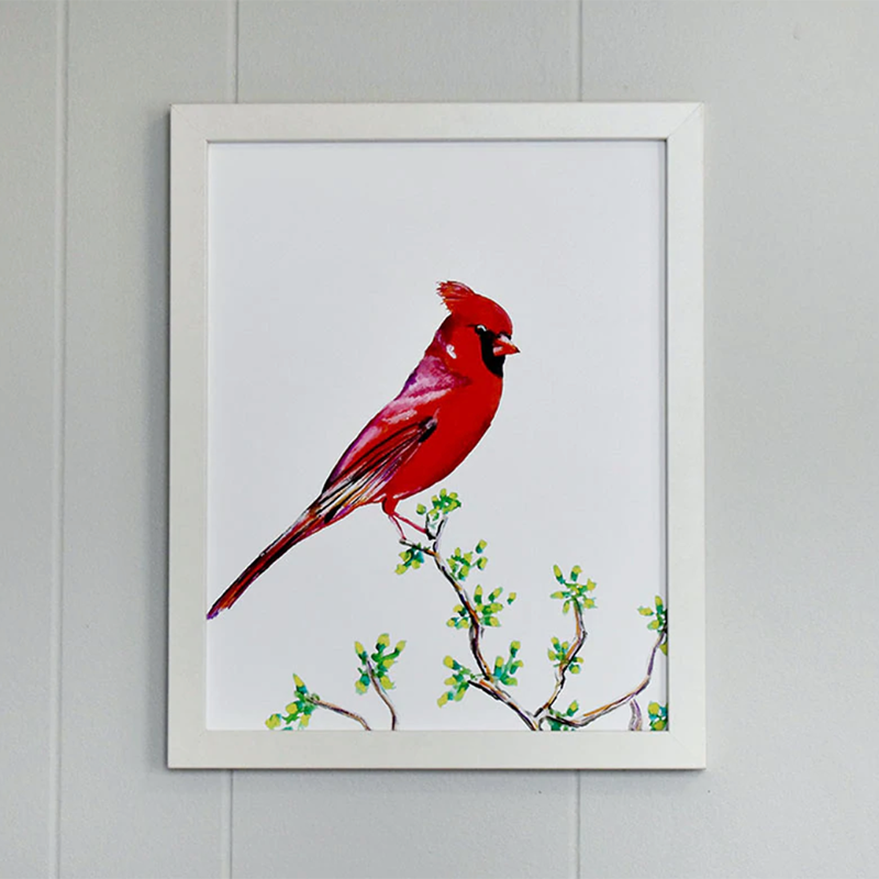 Cardinal 11x14 Watercolor Print