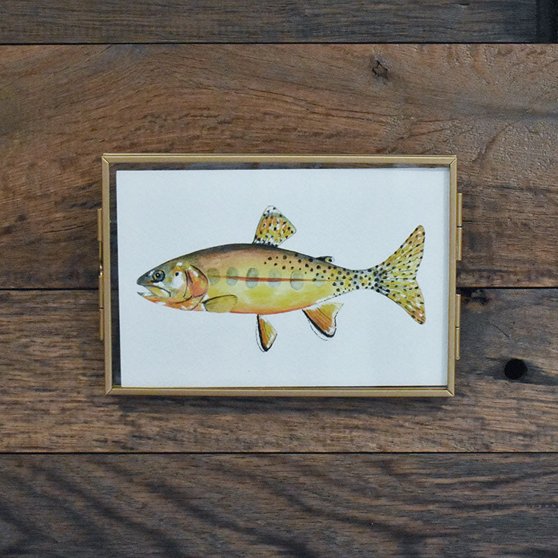 Golden Trout 4x6 Watercolor Print