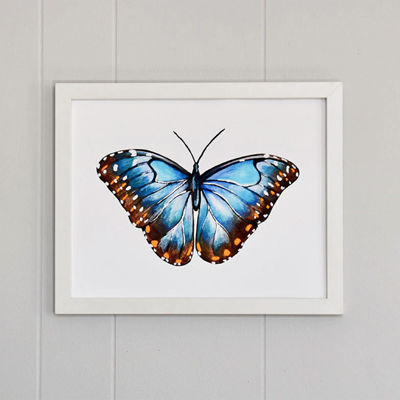 Blue Morpho Butterfly 11x14 Watercolor Print